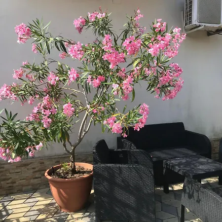 Casa Athena *