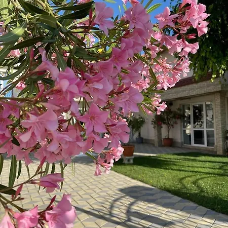 Motel Casa Athena Costinești